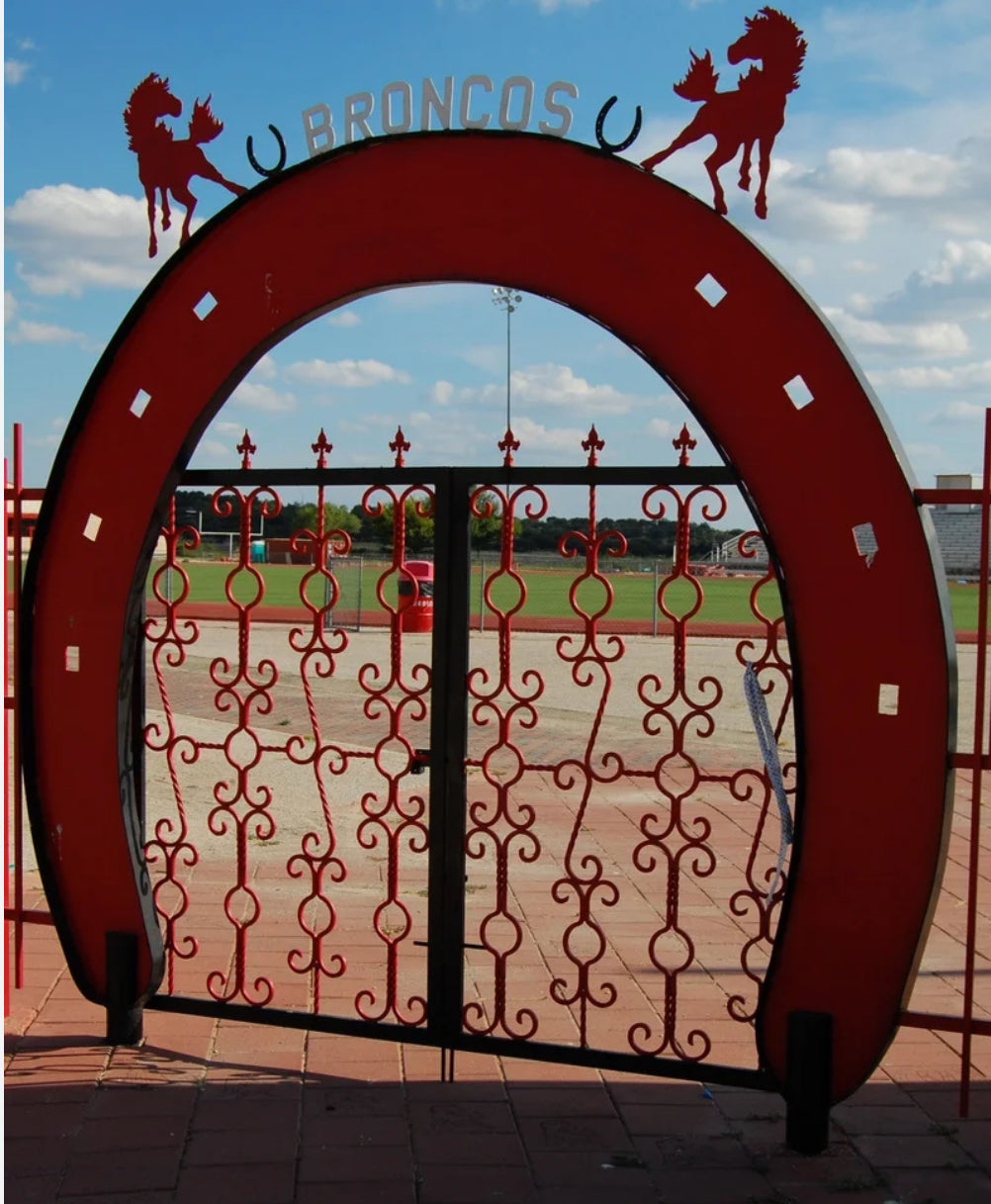 Walk of Fame- Bronco Stadium Pavers